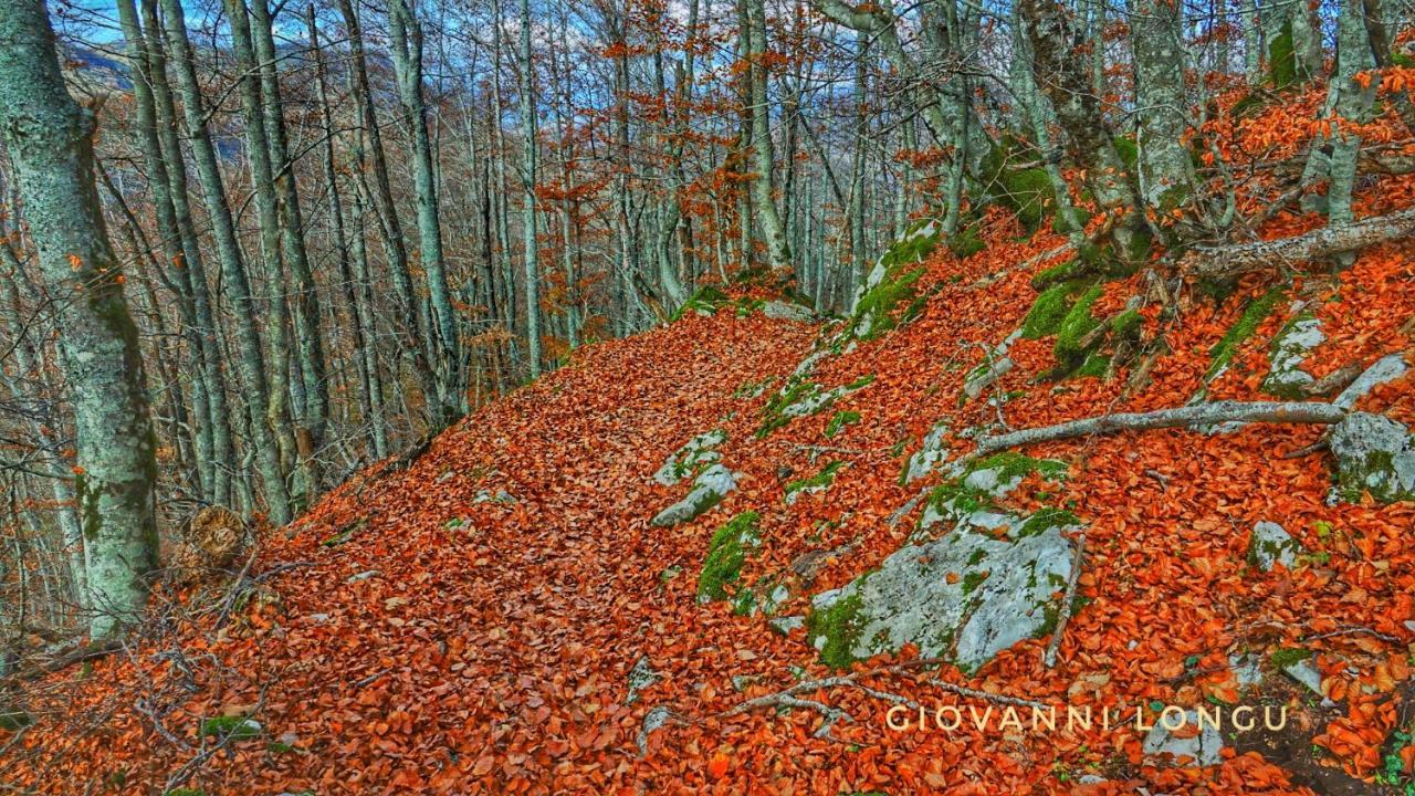 La Terrazza Sul Lago Turano Castel di Tora Exteriér fotografie